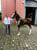 Horse ad