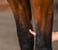 Horse ad