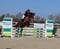 Horse ad
