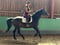 Paardadvertentie