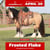 Paardadvertentie