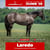 Paardadvertentie