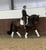 Horse ad