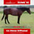 Anuncio de caballos