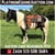 Horse ad
