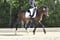 Annuncio cavallo