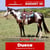 Anuncio de caballos