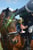 Annonce cheval