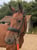 Annuncio cavallo