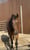 Pferdeinserat