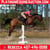 Paardadvertentie