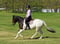 Annuncio cavallo