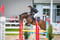 Horse ad