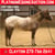 Horse ad