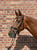 Anuncio de caballos