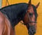 Horse ad