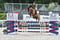 Annuncio cavallo