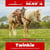 Horse ad
