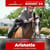Paardadvertentie