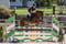 Annuncio cavallo