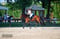 Annuncio cavallo