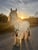 Horse ad