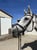 Annuncio cavallo