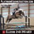 Horse ad