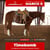 Horse ad