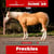 Annuncio cavallo