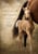 Annonce cheval