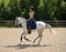 Annuncio cavallo