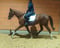Horse ad