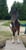 Horse ad