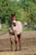 Horse ad
