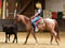 Horse ad