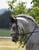 Horse ad