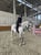 Horse ad
