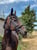Horse ad