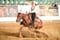 Annuncio cavallo
