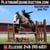 Horse ad