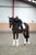 Annuncio cavallo