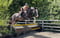 Horse ad