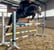 Horse ad