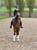 Horse ad