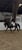 Annonce cheval
