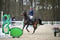 Horse ad