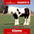 Horse ad