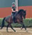 Horse ad