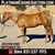 Horse ad